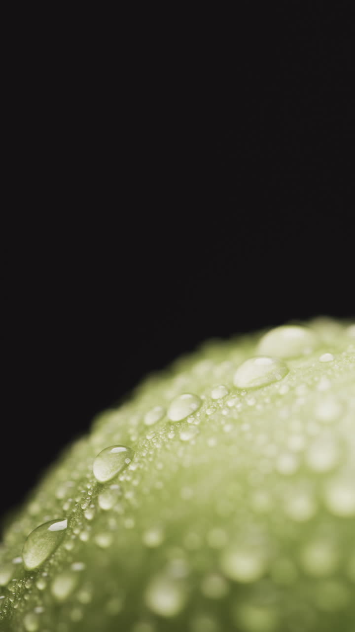 Micro vertical video close up of green apple with water drops and copy space on black background
