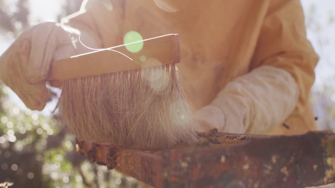 보호 의복 을 입은 벌집 의 벌집 의 벌집 의 벌집 의 벌집 의 벌집 의 벌집 의 벌집