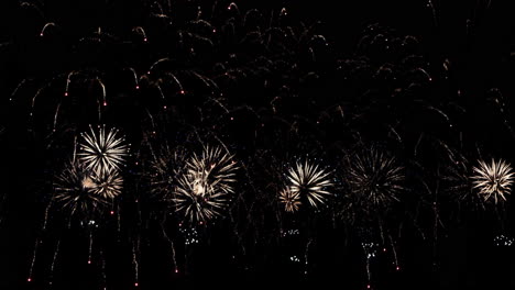 Beautiful fireworks in the night sky