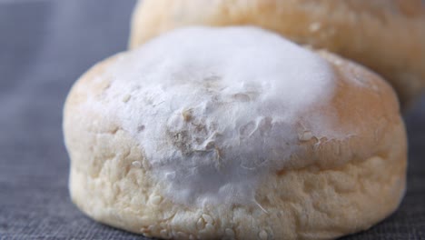 pan con moho