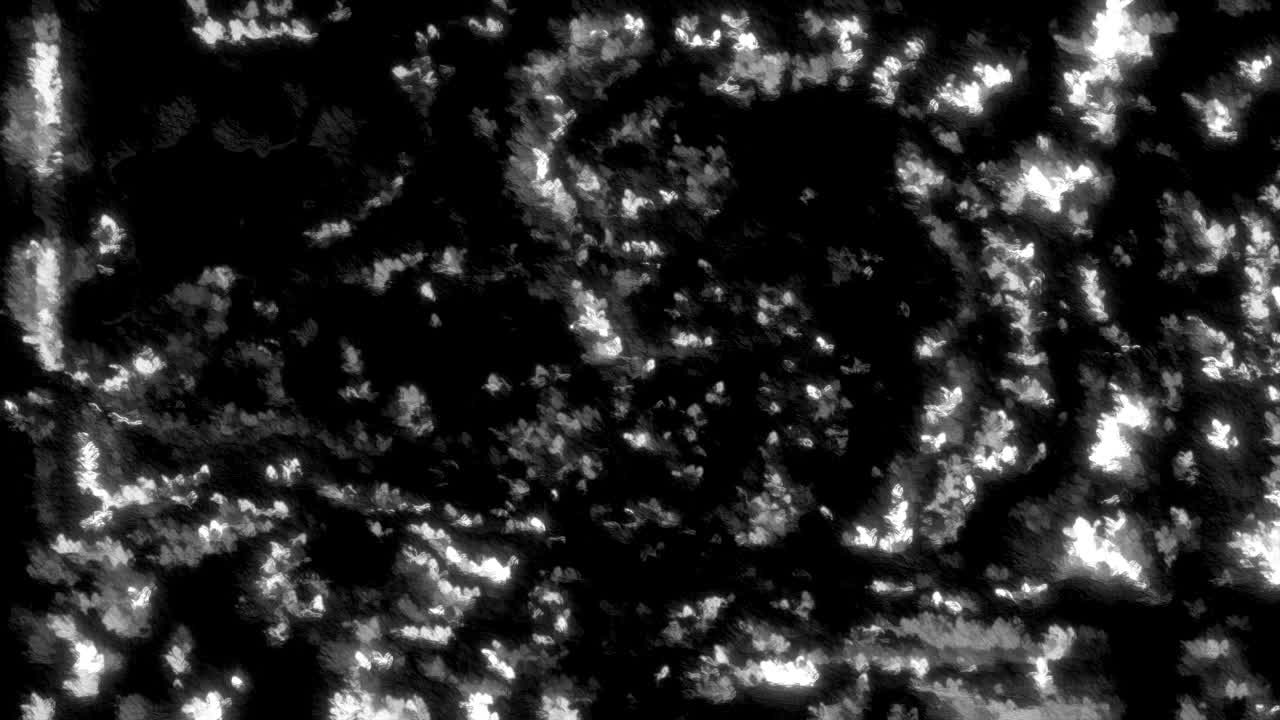 추상적인 흑백 텍스처