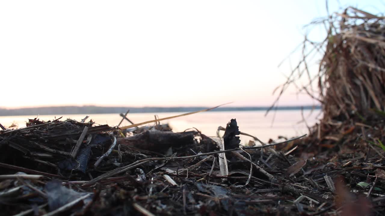 persona caminando a lo largo de una orilla del lago al atardecer