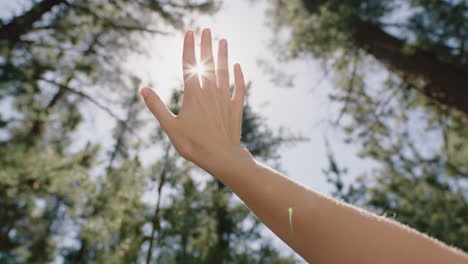 hand-touching-sun-reaching-for-sunlight-shining-between-fingers-catching-sunshine-in-forest-woods