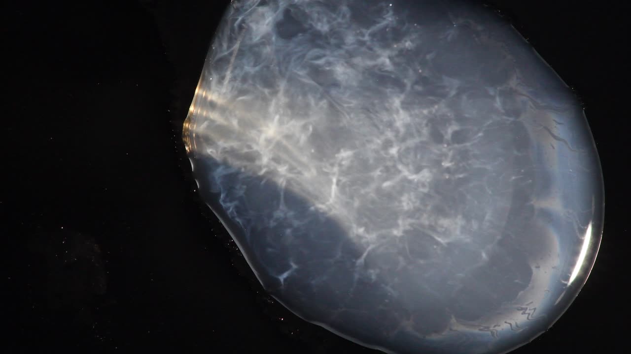 frantic frantic, nervous nervous, twitchy twitchy little pond - 자세한 내용은 인용 부호를 사용하여 "abstractvideoclip"을 검색하십시오.