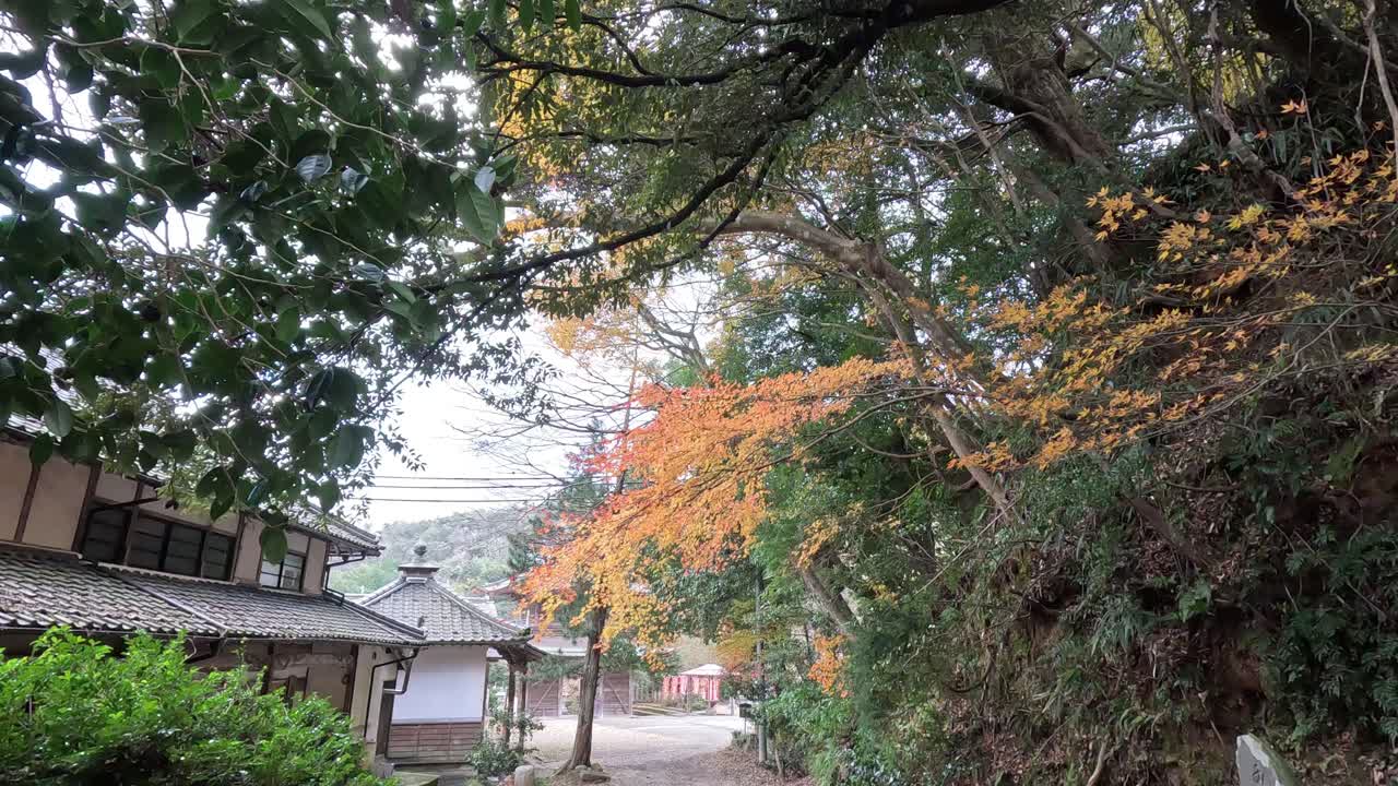 el cambio de estaciones en un sereno templo japonés.