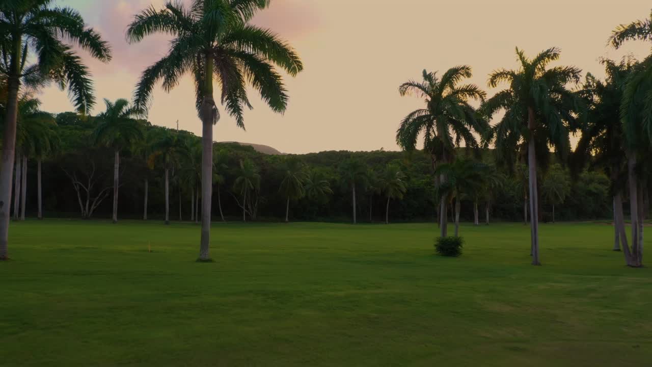 자메이카의 종려나무와 함께 해가 지는 골프장