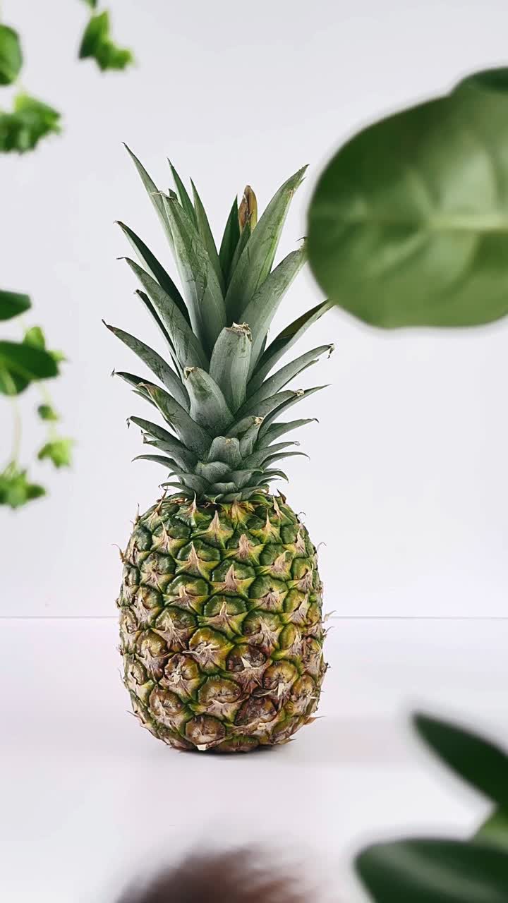 Pineapple on a white background with leaves