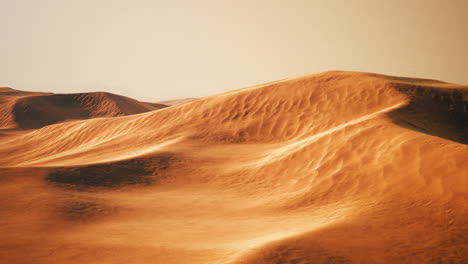 light of the sunset in the beautiful desert in abu dhabi