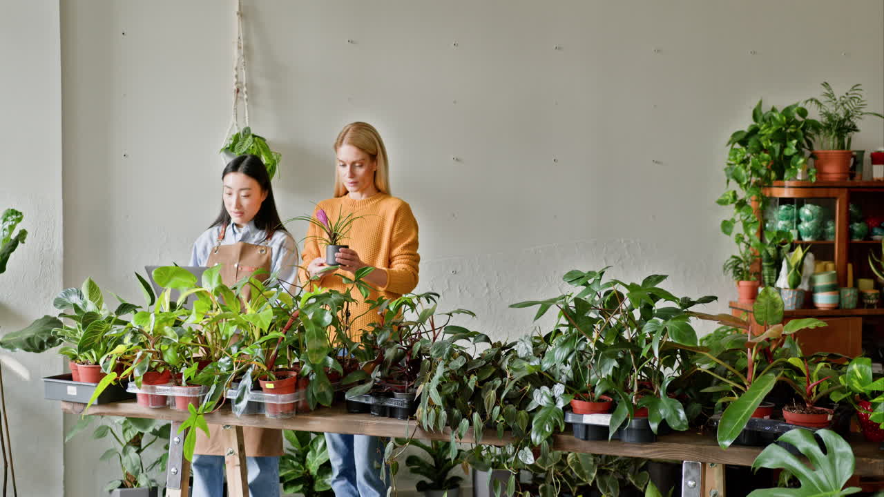 식물 가게 에서 일 하는 두 여자