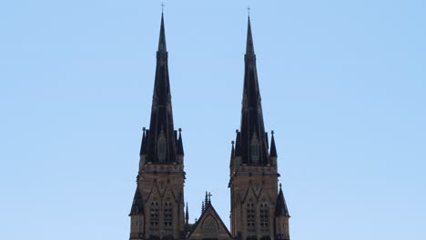 christmas in sydney: cathedral and christmas tree
