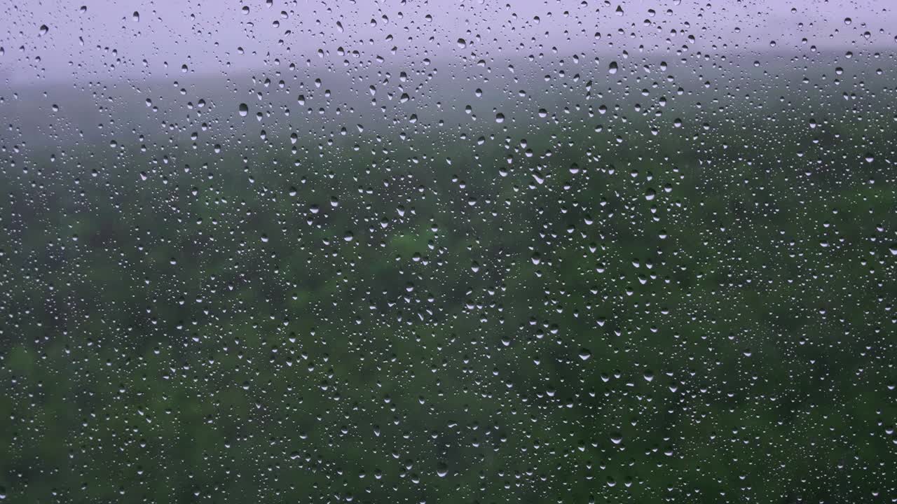 Spring park with tree through window with water drops after rain, background