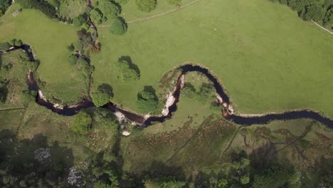 río que fluye a través de un campo verde, rodeado de árboles