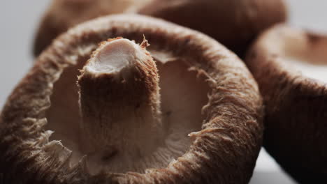 Micro-video-of-close-up-of-mushroom-with-copy-space-on-grey-background