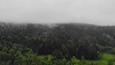 Secluded-woodland-in-fog-aerial-panorama,-Bieszczady-Mountains,-Poland