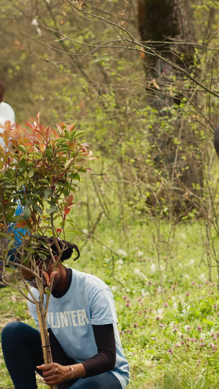 African American Volunteers Planting Trees in a Green Park