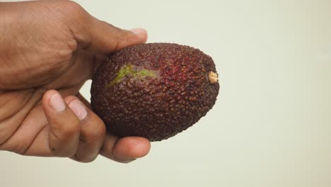 a hand holding a ripe dark avocado