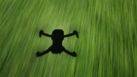 Shadow-silhouette-of-drone-flying-above-grass-field-into-treeline