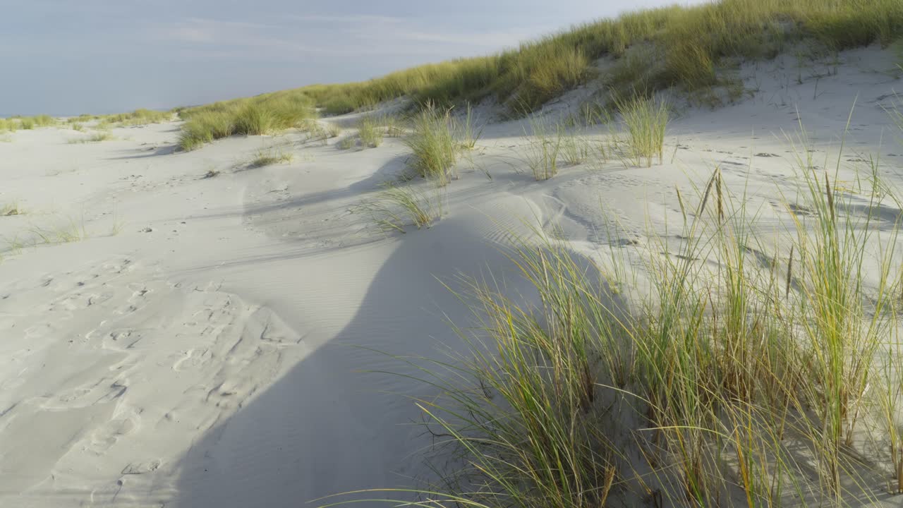Quiet beach with sand dunes and grass clumps.