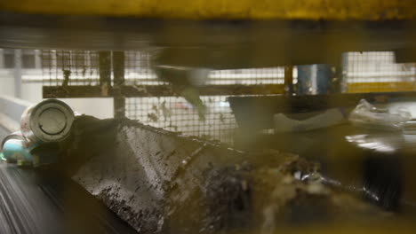 recycling plant for plastic bottles and aluminum cans on a conveyor belt