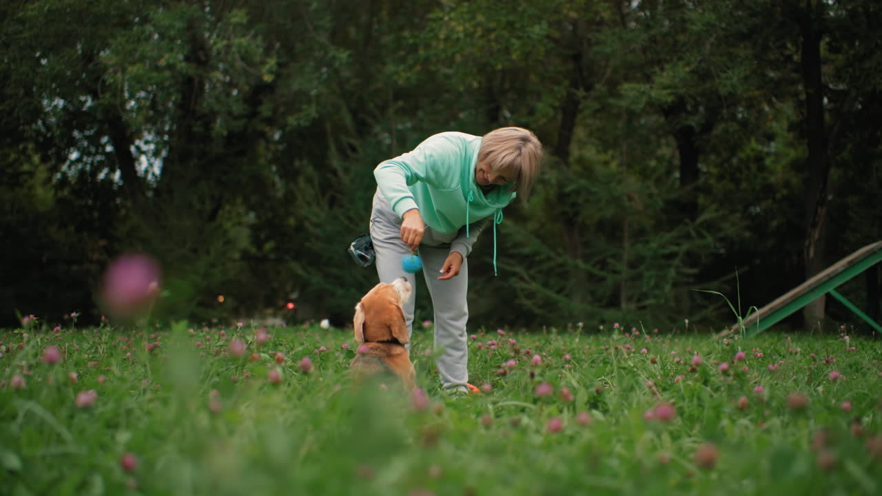 Flower field with lush green grass as smiling canine behaviourist rolls small ball with rope around poodle dog eyes while poodle jumps playfully to catch it, creating lively joyful outdoor training