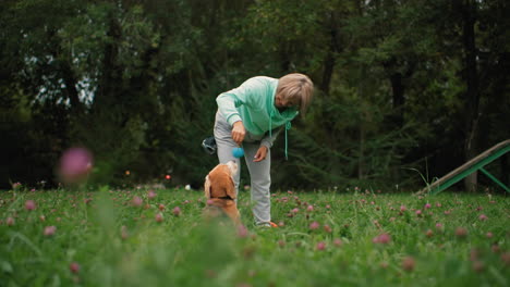 flower field with lush green grass as smiling canine behaviourist rolls small ball with rope around poodle dog eyes while poodle jumps playfully to catch it, creating lively joyful outdoor training