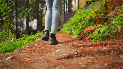 la mujer se pasea por el bosque acercándose a las escaleras. un entorno impregnado de tranquilidad y calma crea la atmósfera perfecta para un paseo pacífico en la naturaleza.