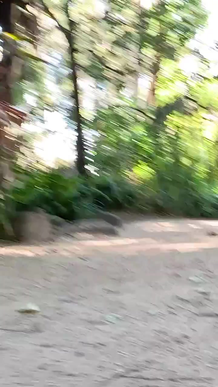 Un sentiero sereno in un giardino circondato da vegetazione lussureggiante