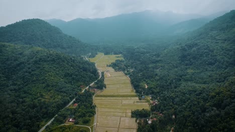 Campo-De-Arroz-De-Toma-Aérea-En-Medio-Del-Valle-En-Malasia