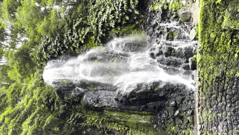 Toma-Vertical-De-Naturaleza-Pura-De-Cascada-En-Ribeira-Dos-Caldeiros,-Isla-De-Azores.