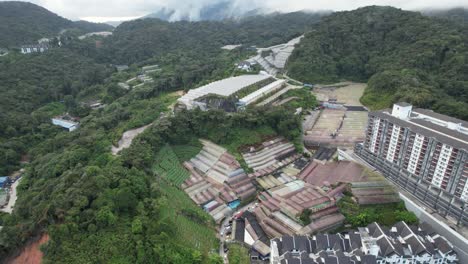 general landscape view of the brinchang district within the cameron highlands area of malaysia