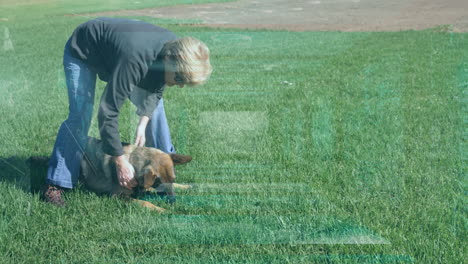 playing with german shepherd puppy on grassy field, person enjoying outdoor time