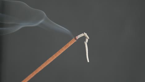 fragrant smoke spreading from burned incense stick close-up 4k 2160p 30fps ultrahd footage - aromatic biotic material burning for meditation purpose 3840x2160 uhd video