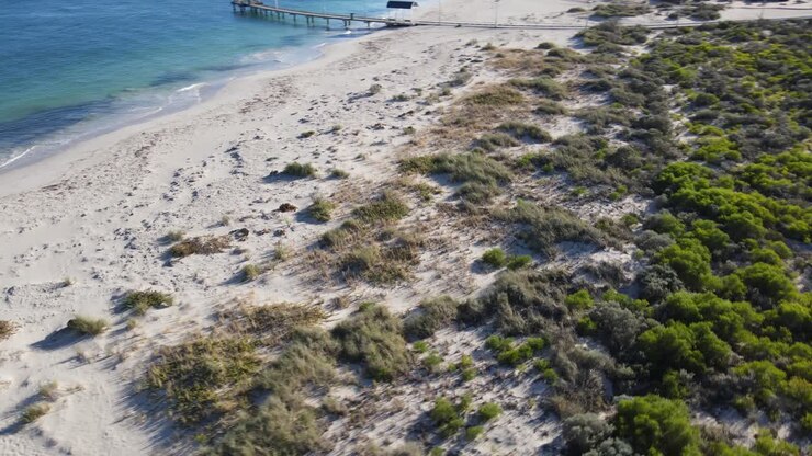 Ripresa aerea con drone a bassa quota sopra alberi naturali su una spiaggia di sabbia bianca a Jurien Bay