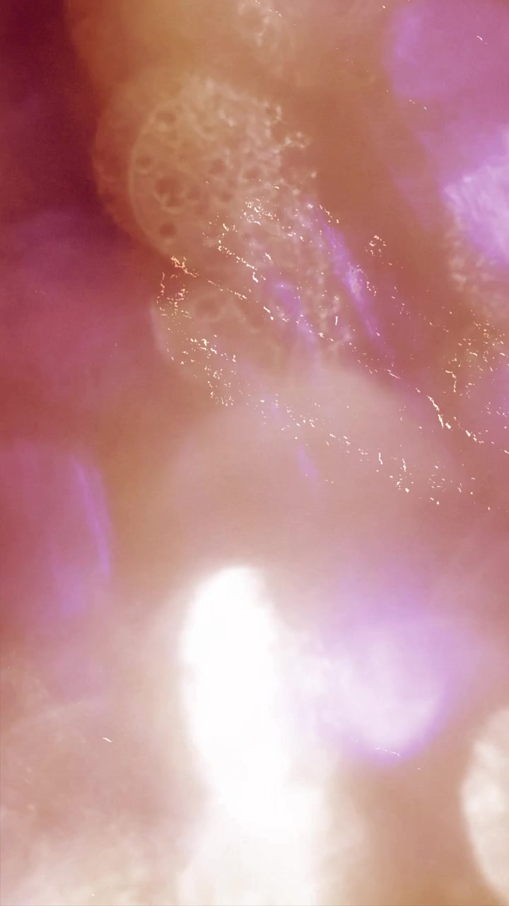 Transizioni astratte con fughe di luce e bagliori dell'obiettivo