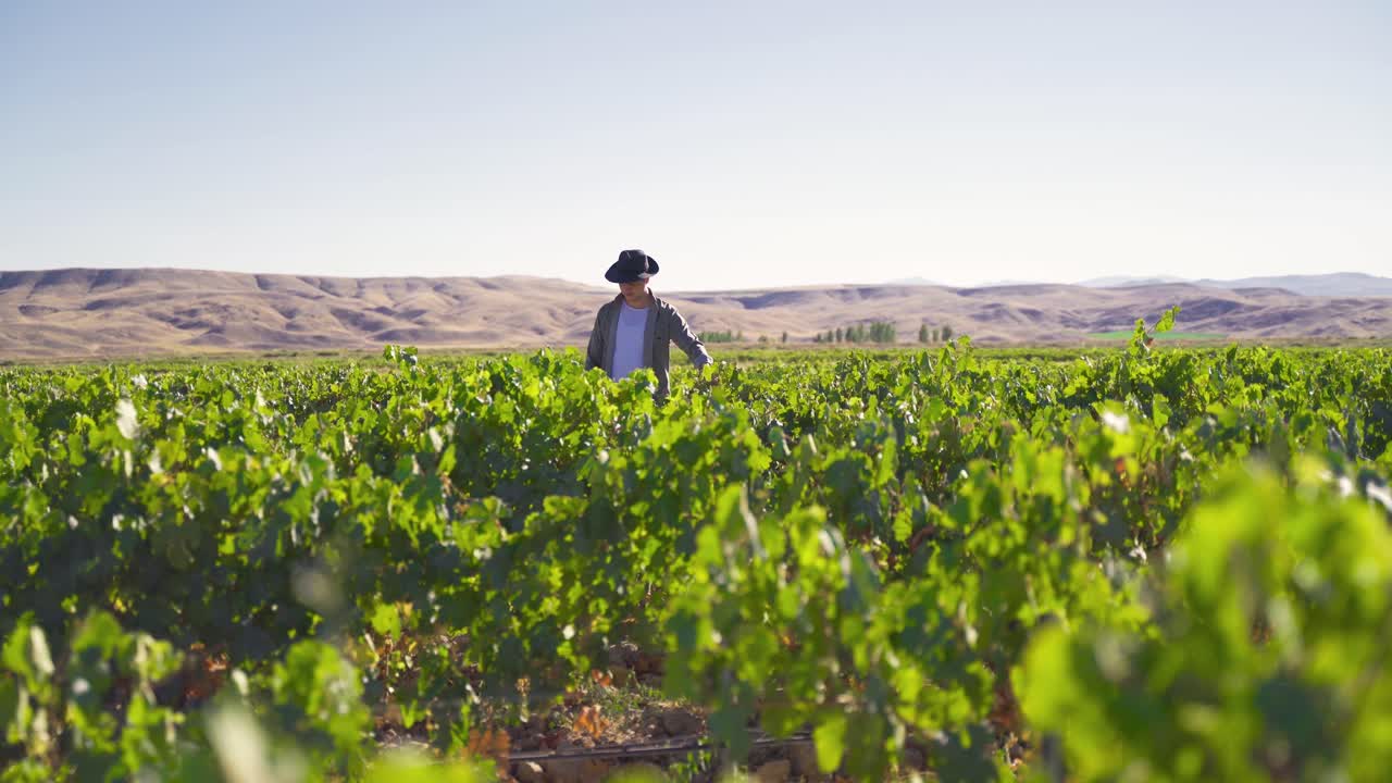 un moderno y guapo granjero caminando por el viñedo.