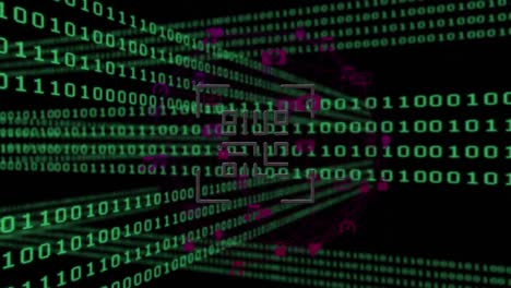 animación digital del procesamiento de datos de codificación binaria de stock contra la conexión de codificación binaria