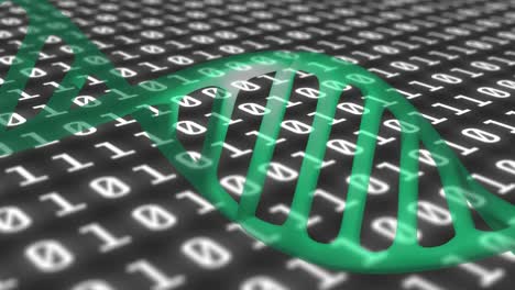 animation of data processing and dna strand on black background