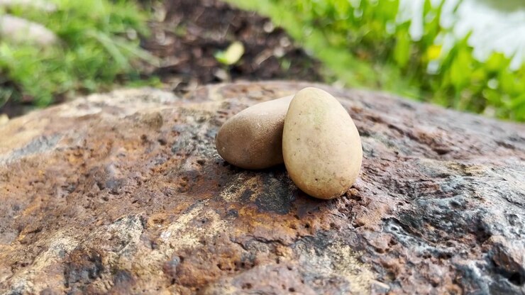 Due pietre lisce appoggiate su una grande roccia ruvida