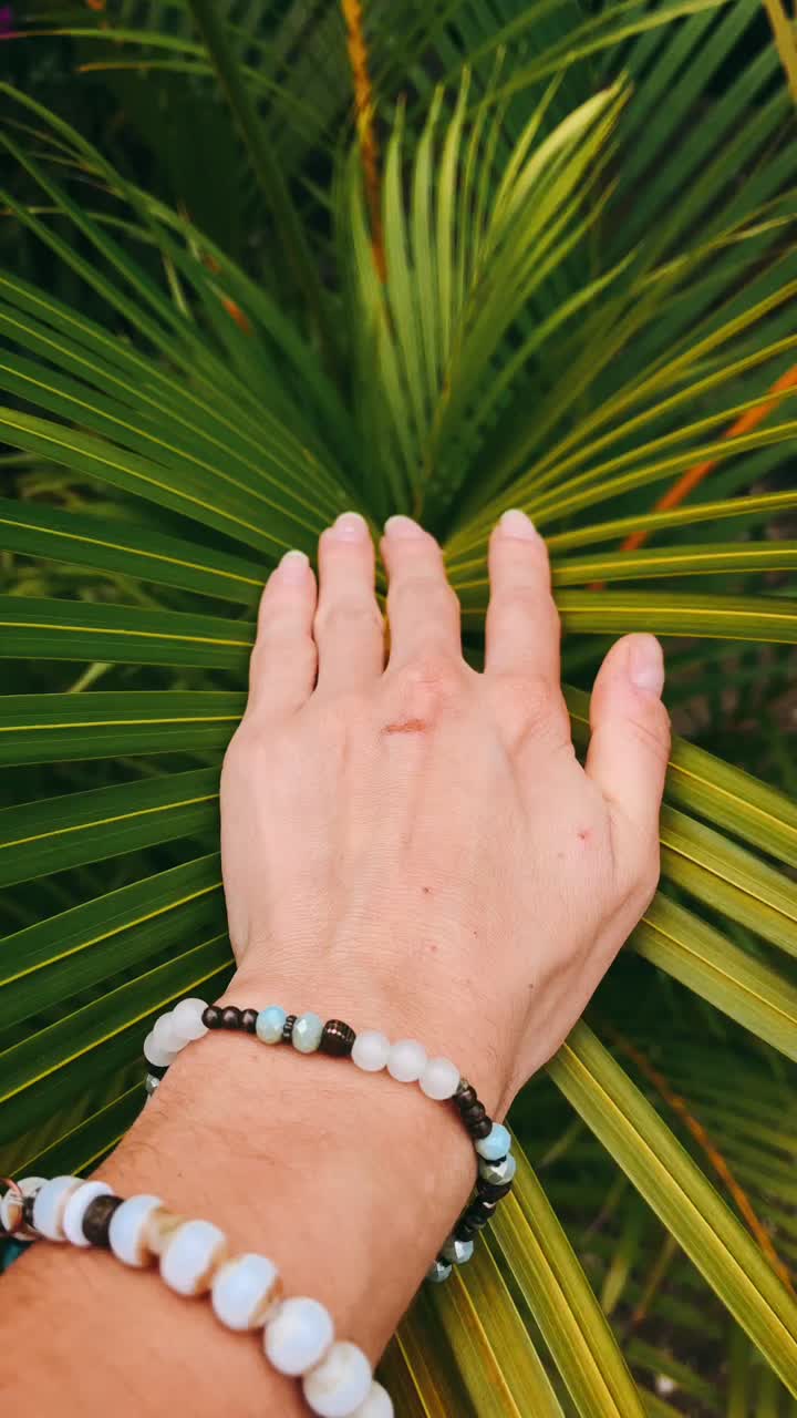Hand touching a palm leaf