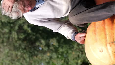 a happy old farmer sits on the autumn harvest of large pumpkins sale of pumpkins a happy old farmer sits on the autumn harvest of large pumpkins sale of pumpkins