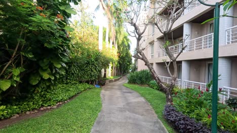 a peaceful walk along a verdant apartment pathway