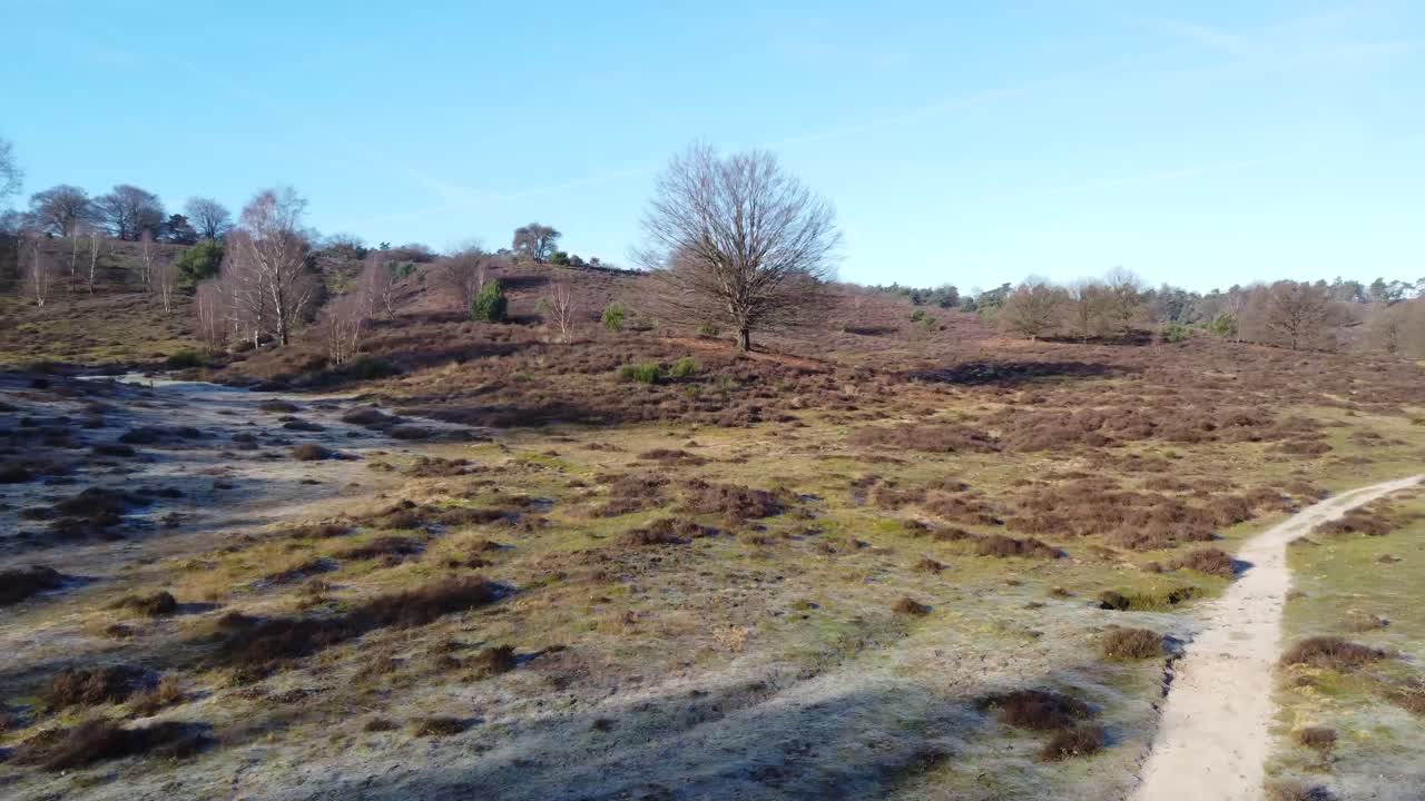 drone disparó lentamente hacia adelante del parque nacional de la naturaleza