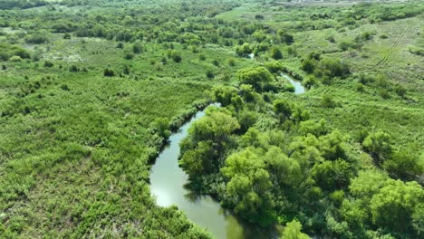 volando sobre un río sinuoso