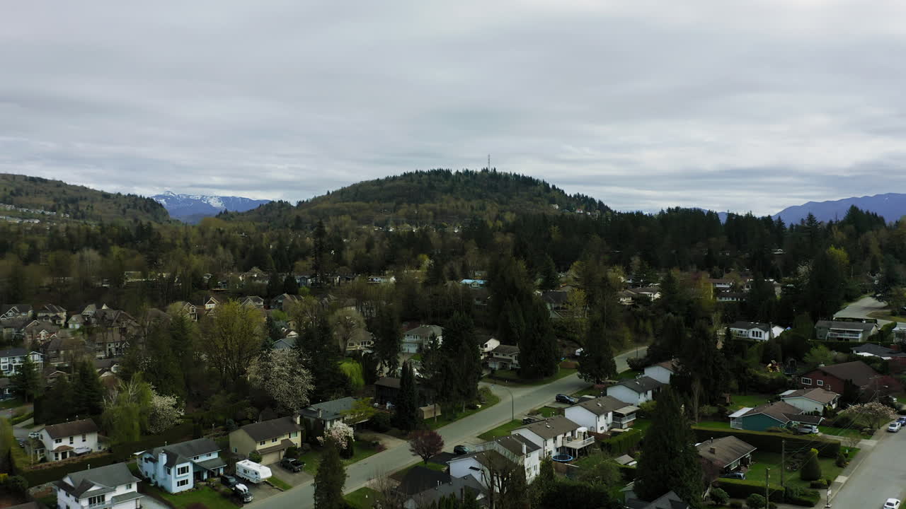 barrio suburbano lleno de árboles lleno de casas y caminos tranquilos