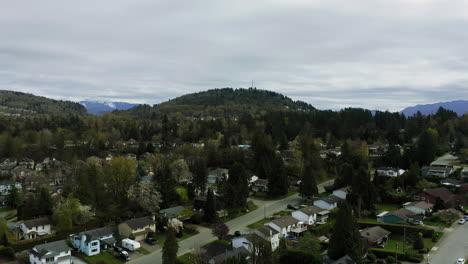 Tree-filled-suburban-neioghbourhood-full-of-homes-and-quiet-roads