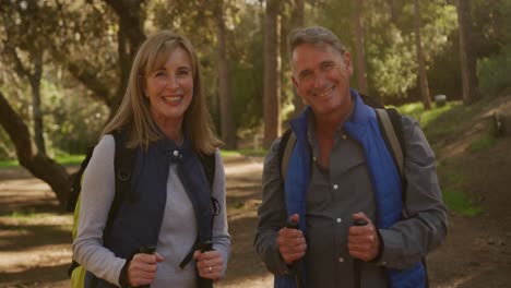 Pareja-Senior-Activa-Caminando-En-El-Bosque