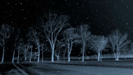 dark winter night background