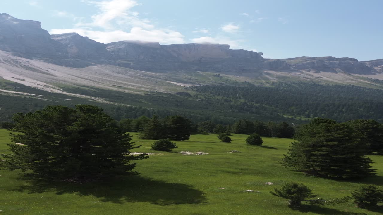 Drone shot that begins over lush greenery and ascends to unveil the towering rocky peaks of the Dolomites in northern Italy, offering a breathtaking view of this iconic mountain range.
