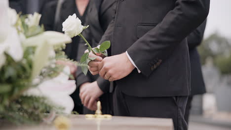 hand, rose and a person at a funeral