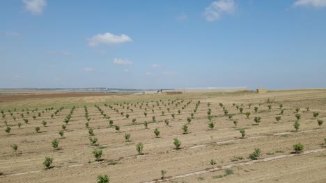 yachini village fields at israeli southern settlements sdot negev
